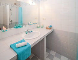 Must Have Handicap Bathroom Accessories to Buy Right Now